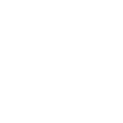 Feldt Customs
